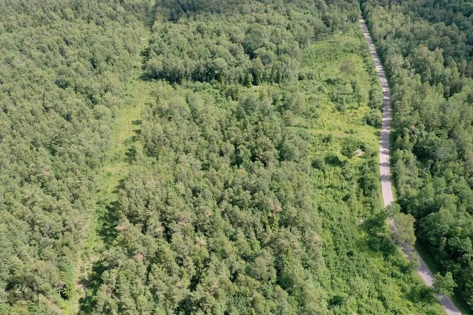 Maatulundusmaa, 69800 m² Maa  -  Saaremaa vald, Mustjala küla - foto 5