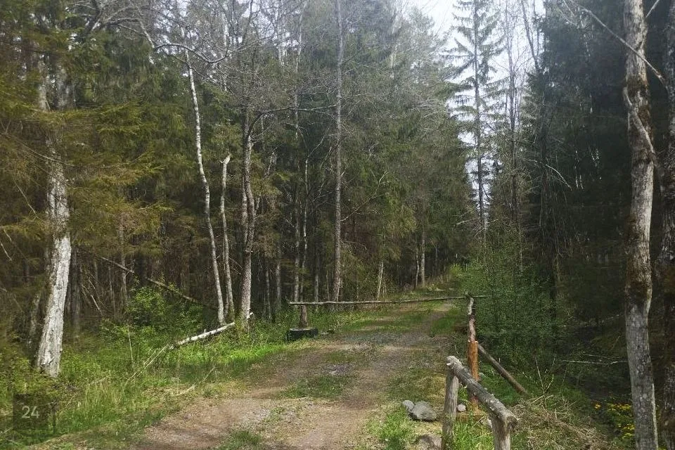 Земля жилой застройки, 29790 m² участок в Saku vald, Tagadi küla