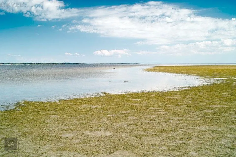 Maatulundusmaa, 9454 m² Maa - Hiiumaa vald, Jausa küla - foto 5
