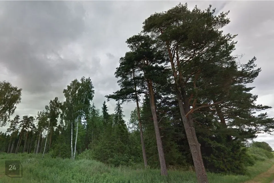 Elamumaa, 30283 m² Maa  -  Kehtna vald, Hertu küla - foto 3