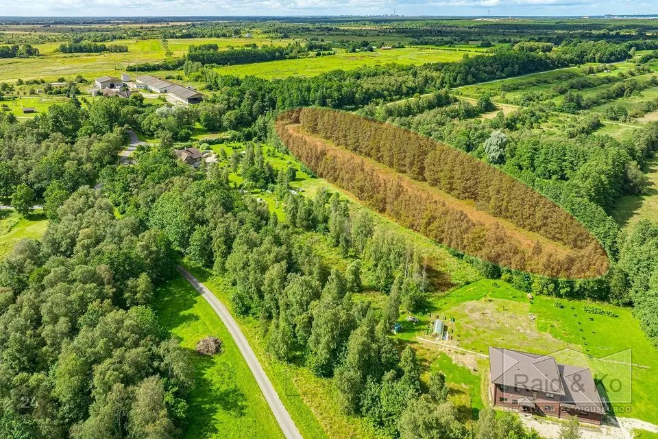 Maatulundusmaa, 11179 m² участок в Jõelähtme vald, Manniva küla - фото 5