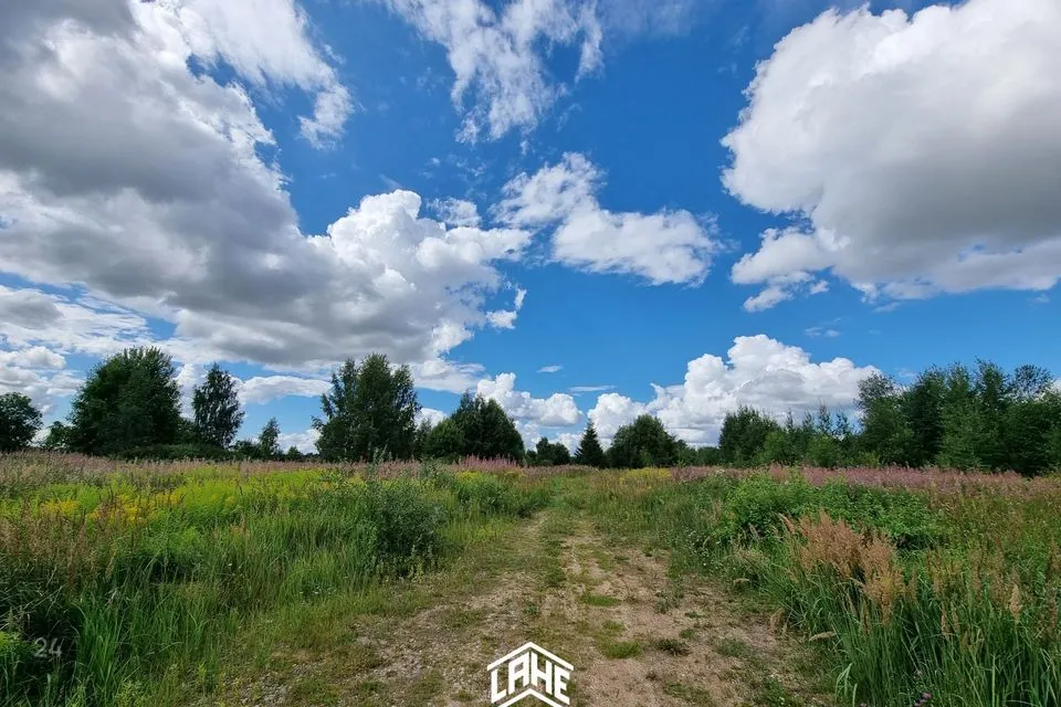 Elamumaa, 1744 m² Maa  -  Kambja vald, Soinaste küla - foto 3