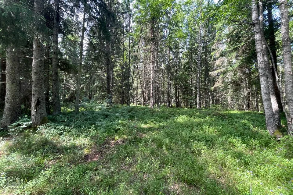 Ärimaa, 41296 m² Maa - Lääne-Nigula vald, Peraküla - foto 4