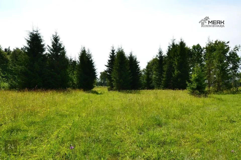 Maatulundusmaa, 25051 m² Maa - Kose vald, Lutsu küla