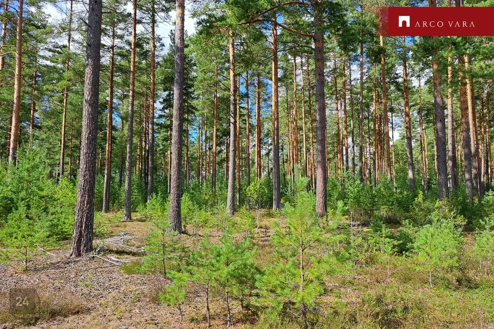 Maatulundusmaa, 34600 m² участок в Setomaa vald, Väike-Rõsna küla - фото 2
