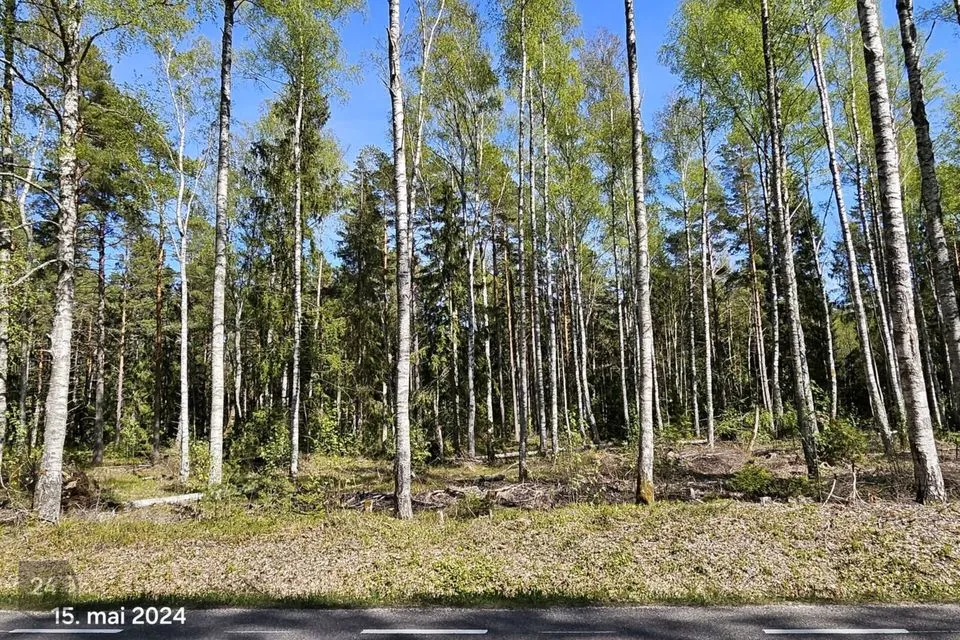 Maatulundusmaa, 13644 m² Maa  -  Lääne-Nigula vald, Elbiku küla / Ölbäck - foto 2