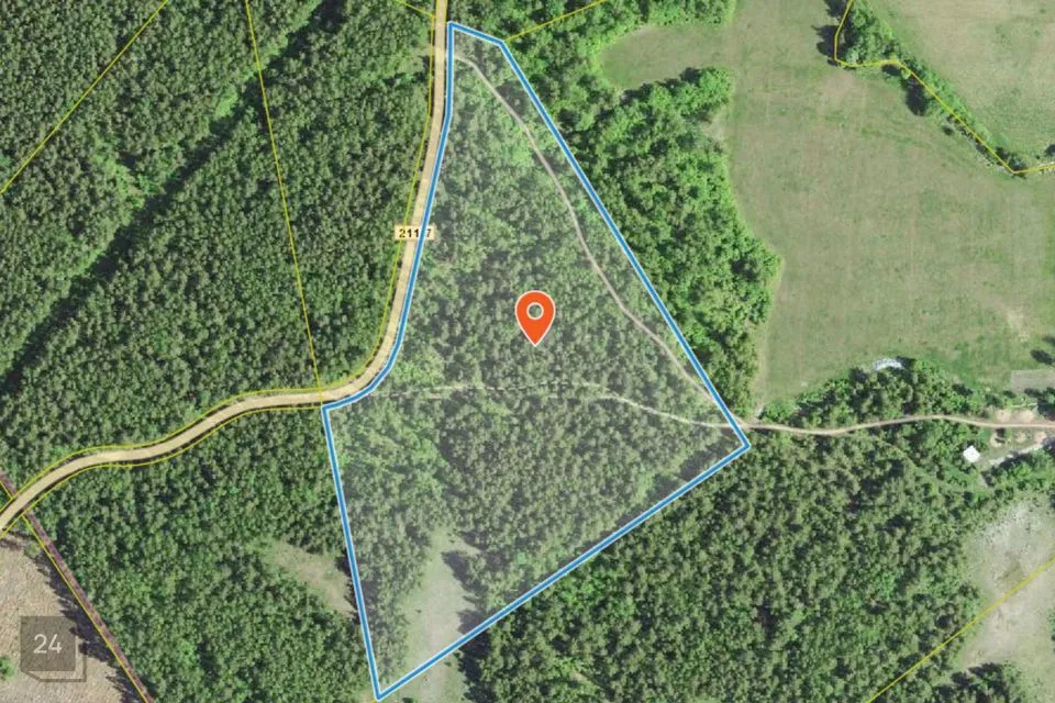 Maatulundusmaa, 55453 m² Maa - Saaremaa vald, Turja küla