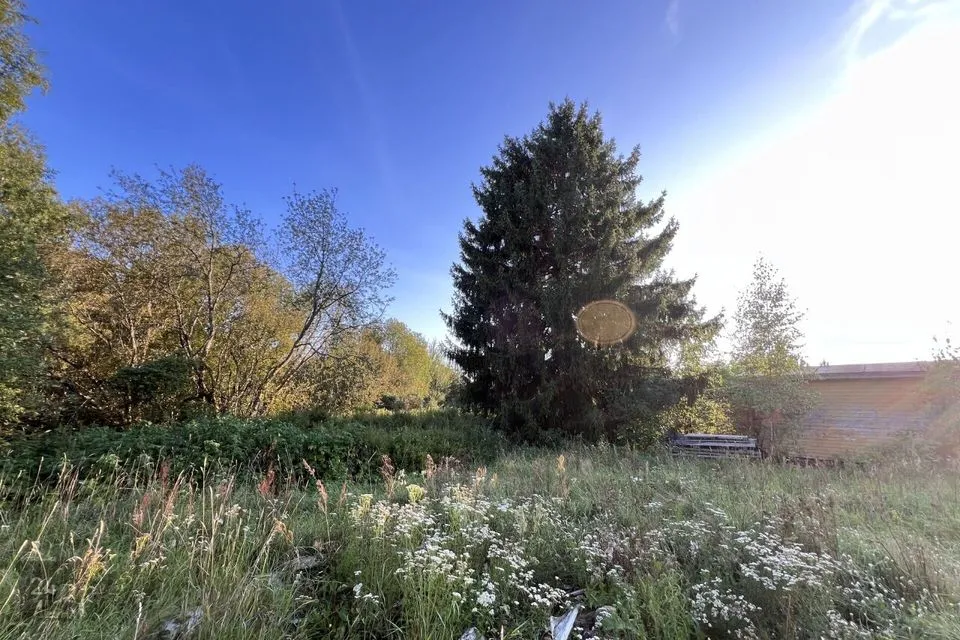 Elamumaa, 4322 m² Maa  -  Peipsiääre vald, Rootsiküla - foto 2