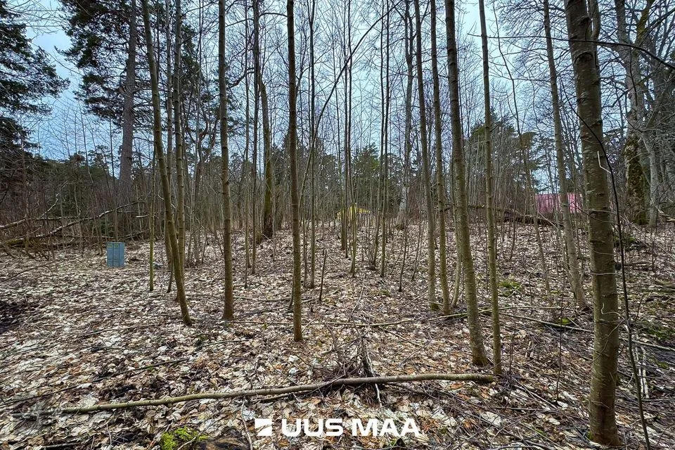 Elamumaa, 3005 m² Maa - Lääne-Harju vald, Meremõisa küla - foto 3