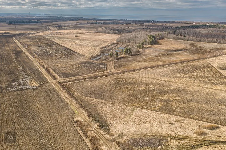 Maatulundusmaa, 117797 m² участок в Narva-Jõesuu linn, Udria küla - фото 2