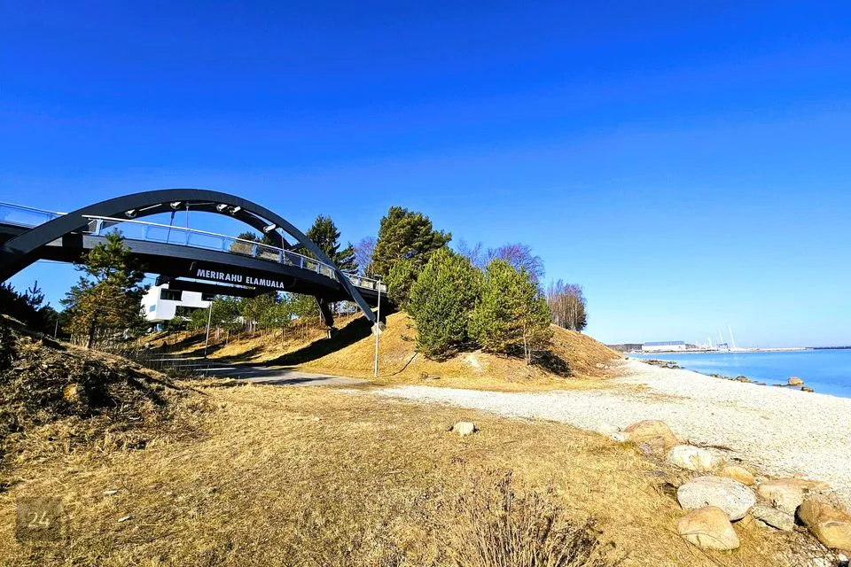 Земля коммерческого назначения, 5729 m² участок в Tallinn, Haabersti linnaosa - фото 4