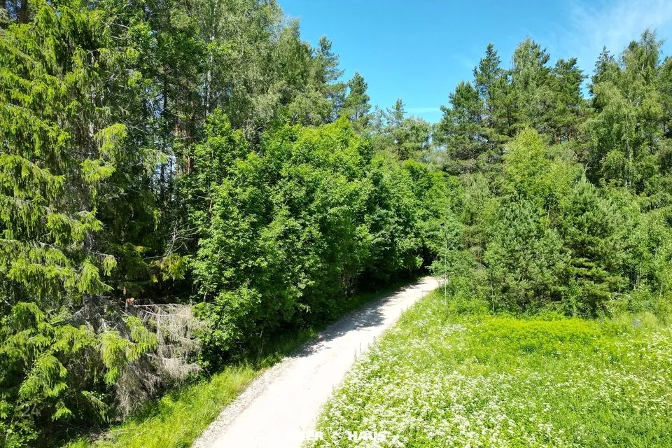 Maatulundusmaa, 20008 m² Maa - Saku vald, Kiisa alevik - foto 5