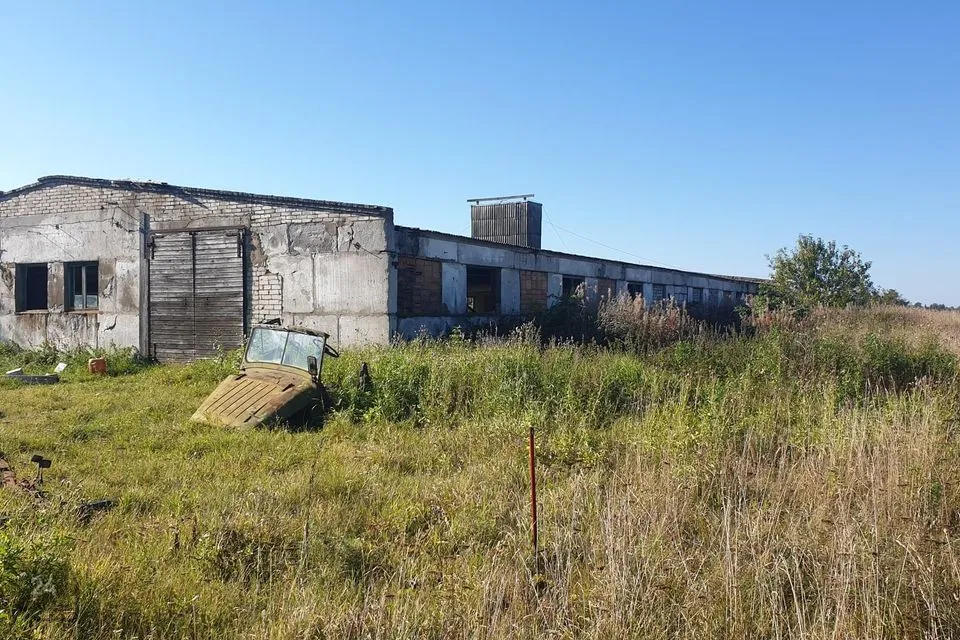 Tootmine, 12313 m² Äripind  -  Jõgeva vald, Teilma küla