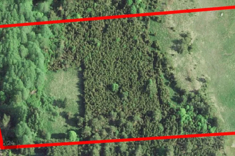 Maatulundusmaa, 22677 m² участок в Saaremaa vald, Tirbi küla - фото 2