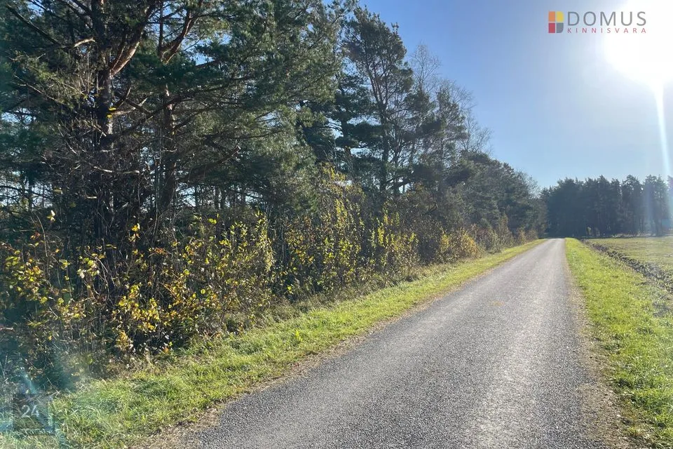 Maatulundusmaa, 10003 m² Maa - Saaremaa vald, Mändjala küla - foto 5