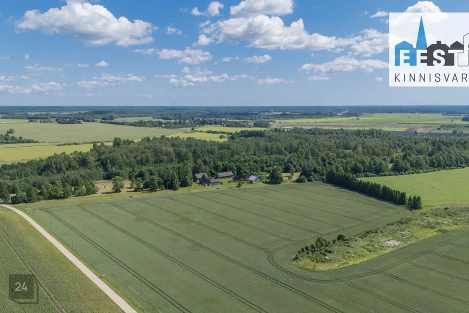 Maatulundusmaa, 214654 m² Maa - Põhja-Pärnumaa vald, Tõrdu küla - foto 2