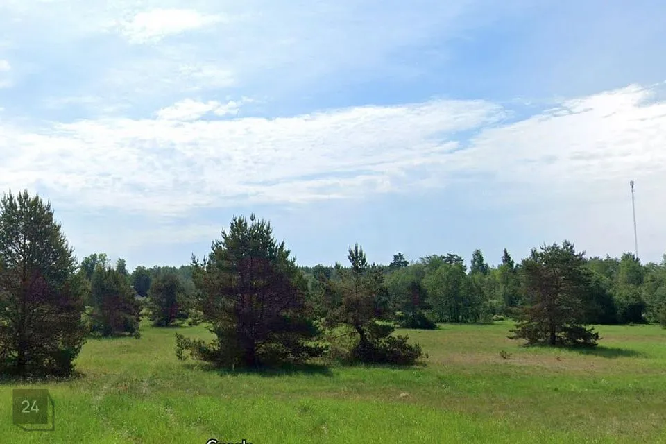 Maatulundusmaa, 6179 m² участок в Türi vald, Kolu küla - фото 4