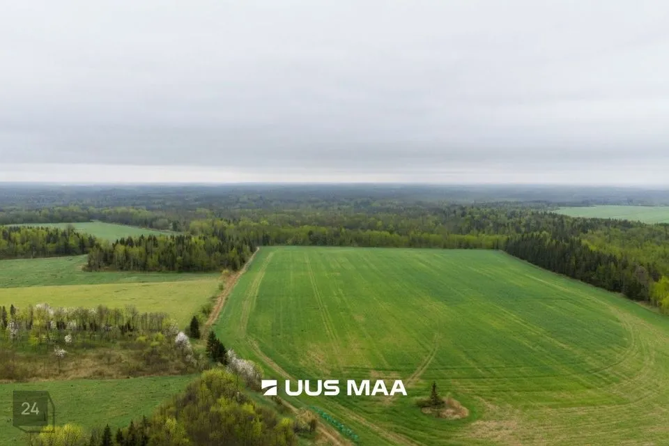 Maatulundusmaa, 211329 m² участок в Saue vald, Lehetu küla - фото 3