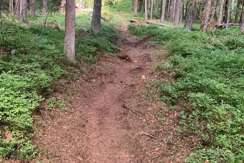 Elamumaa, 8679 m² Maa - Hiiumaa vald, Kodeste küla - foto 3