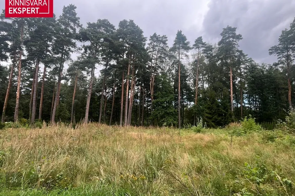 Residential land, 2007 m² land in Pärnu linn, Papsaare küla - photo 3