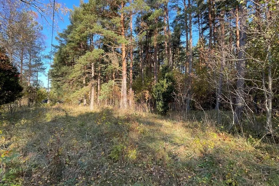 Maatulundusmaa, 10003 m² Maa - Saaremaa vald, Mändjala küla - foto 2