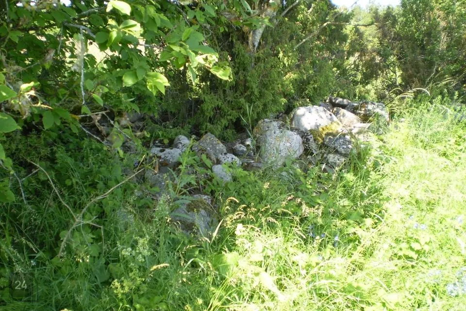 Maatulundusmaa, 27500 m² Maa  -  Muhu vald, Lehtmetsa küla