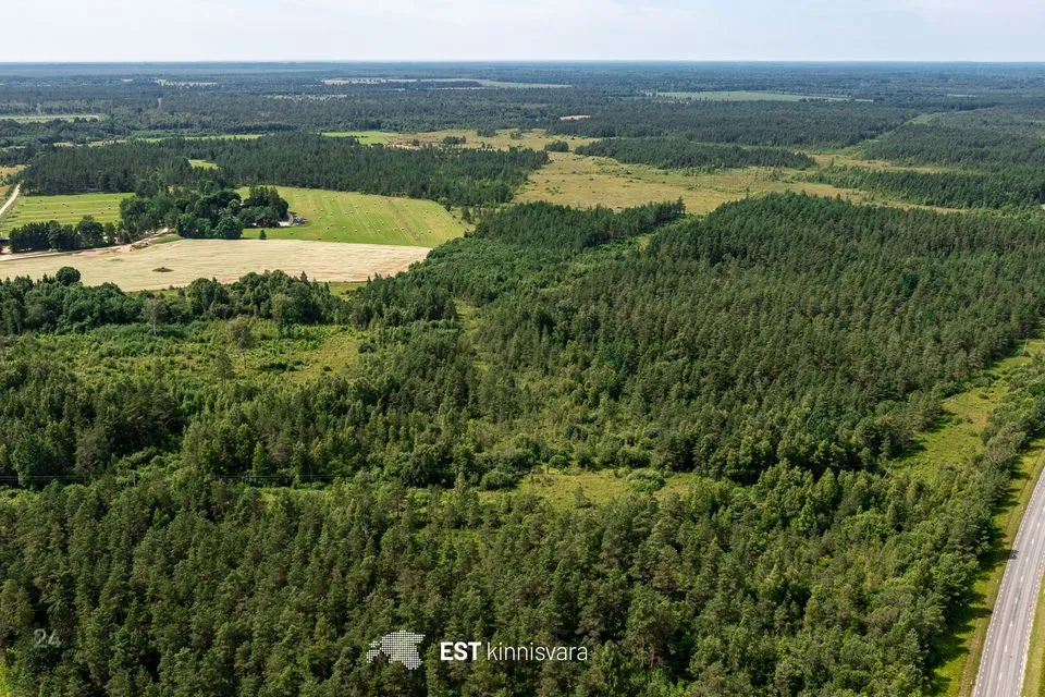 Maatulundusmaa, 129486 m² Maa - Lääneranna vald, Tõitse küla - foto 4