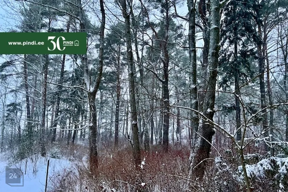 Elamumaa, 4715 m² Maa  -  Narva-Jõesuu linn, Narva-Jõesuu linn - foto 4