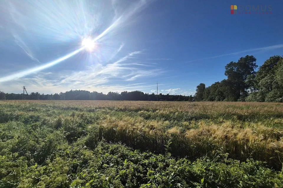 Elamumaa, 15386 m² Maa - Põhja-Sakala vald, Lahmuse küla