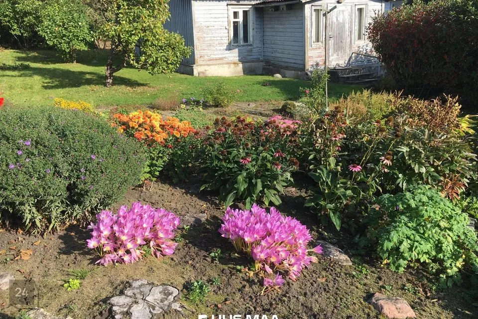 56 m² Maja  -  Kuusalu vald, Viinistu küla