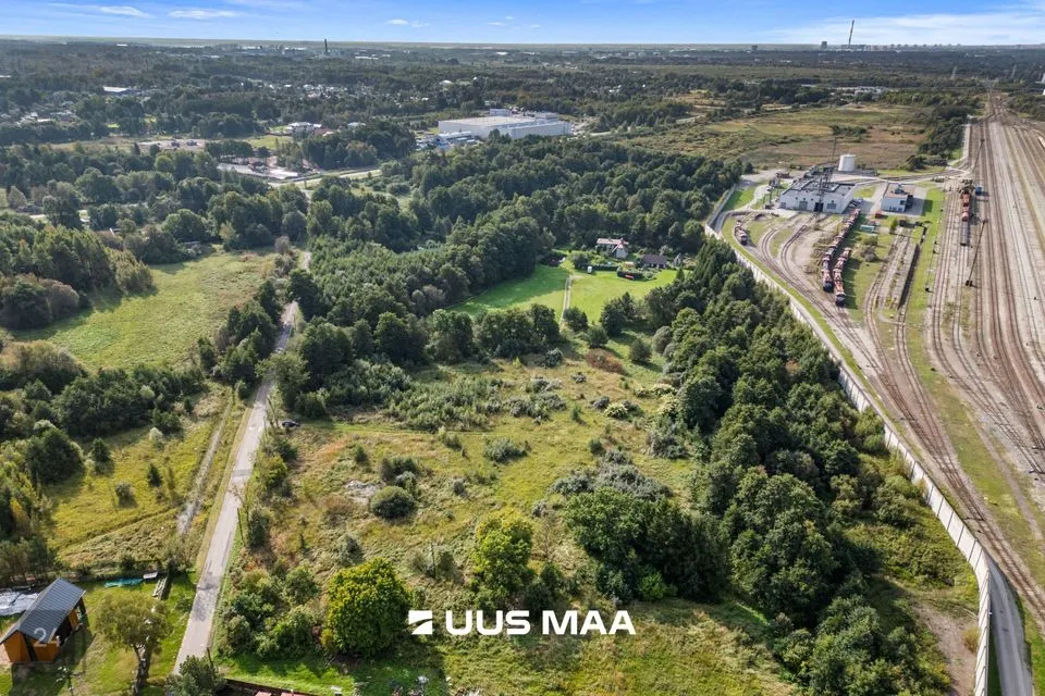 Maatulundusmaa, 8951 m² Maa  -  Jõelähtme vald, Uusküla - foto 4