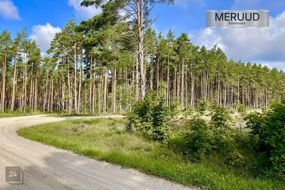 Elamumaa, 16583 m² Maa  -  Saaremaa vald, Nurme küla