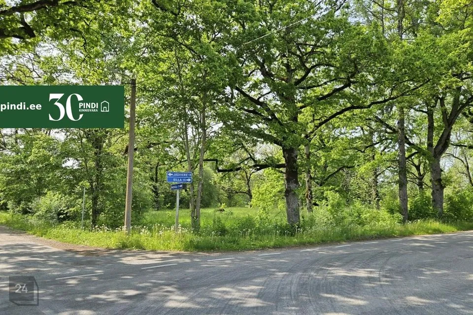 Maatulundusmaa, 16840 m² Maa - Märjamaa vald, Vana-Vigala küla