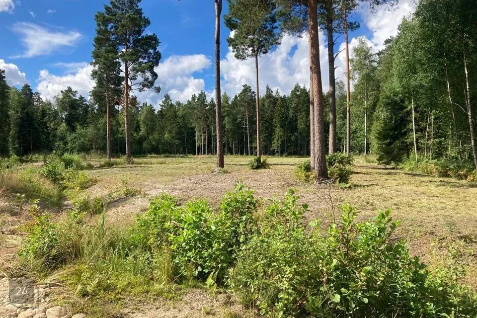 Elamumaa, 13155 m² Maa - Hiiumaa vald, Tubala küla - foto 3