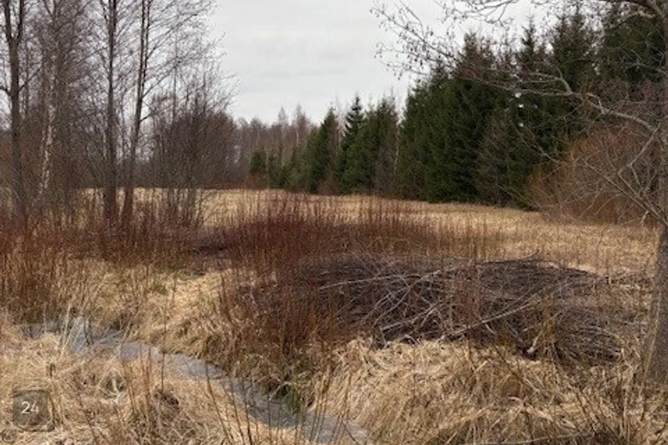 Maatulundusmaa, 19195 m² Maa - Hiiumaa vald, Viilupi küla