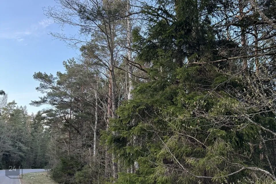 Maatulundusmaa, 15309 m² участок в Lääne-Nigula vald, Spithami küla / Spithamn