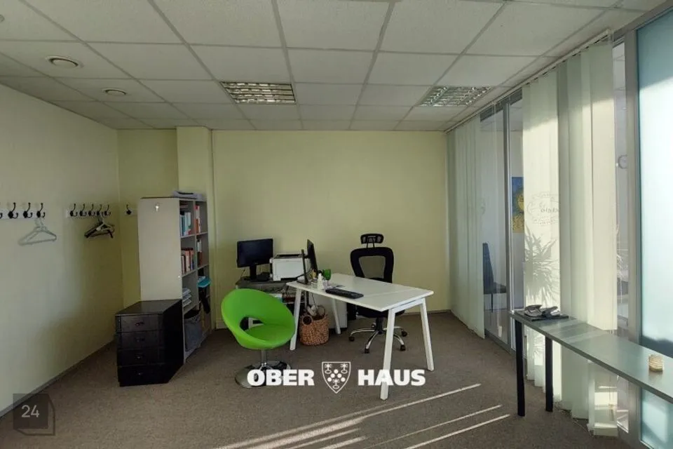 44 m² business - photo 5