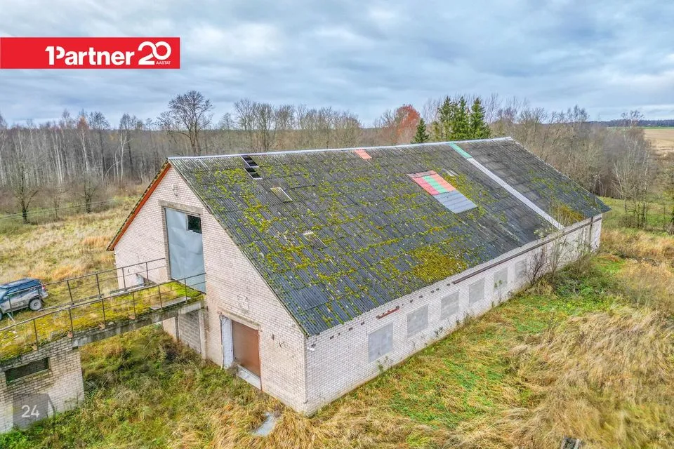 Ladu või Tootmine, 743 m² Äripind - Viljandi vald, Järtsaare küla - foto 4