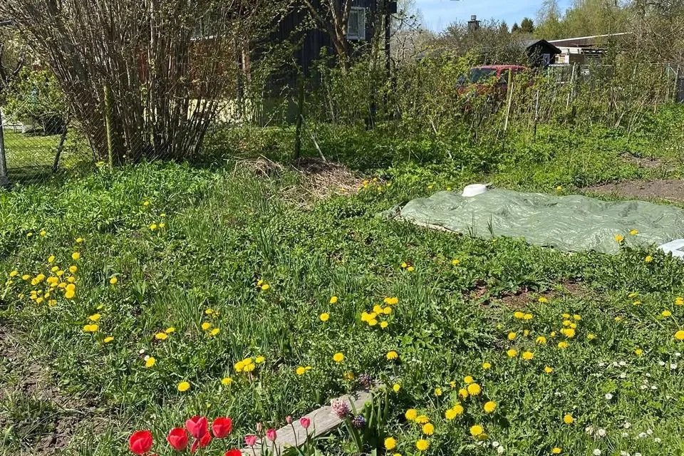 0 m² Maja - Saue vald, Hüüru küla - foto 5