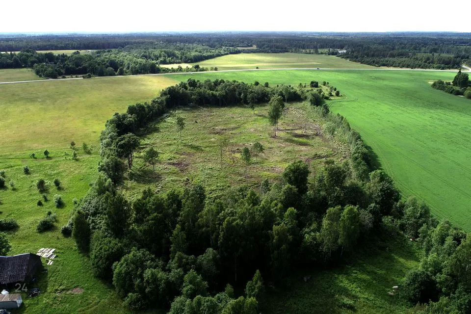 Maatulundusmaa, 32229 m² Maa  -  Lääne-Harju vald, Määra küla - foto 3