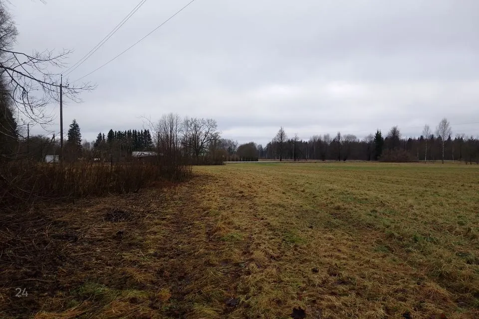 Tootmismaa, 12660 m² Maa - Järva vald, Ambla alevik - foto 5