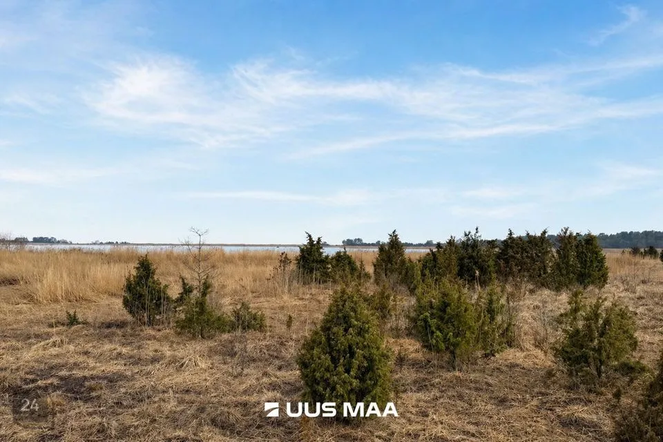 Maatulundusmaa, 23539 m² участок в Lääneranna vald, Saulepi küla
