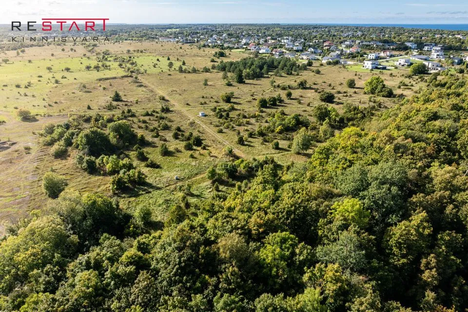 Elamumaa, 2082 m² Maa  -  Harku vald, Muraste küla - foto 5