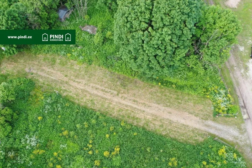 Elamumaa, 2977 m² Maa  -  Tapa vald, Assamalla küla - foto 3