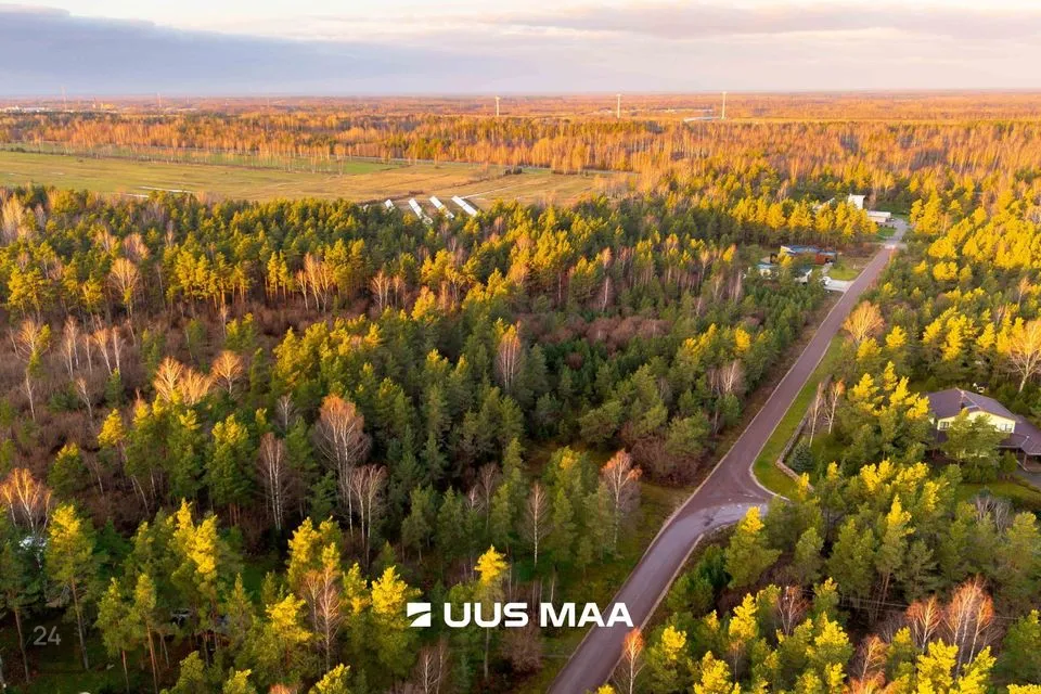 Elamumaa, 4644 m² Maa  -  Saaremaa vald, Upa küla - foto 4