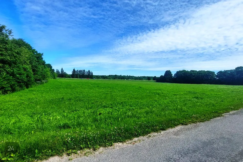 Maatulundusmaa, 38744 m² Maa  -  Narva-Jõesuu linn, Sinimäe alevik