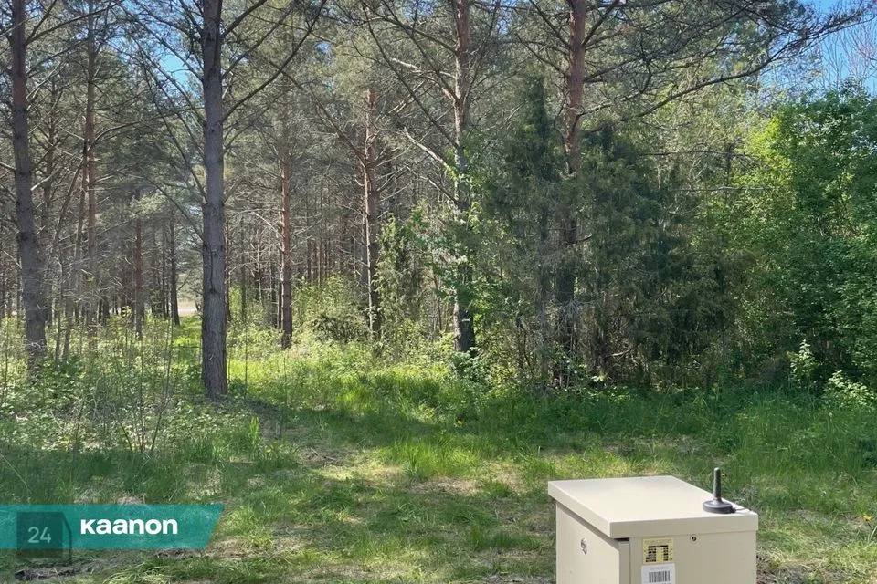 Maatulundusmaa, 22945 m² Maa - Lääne-Nigula vald, Hara küla / Harga - foto 4