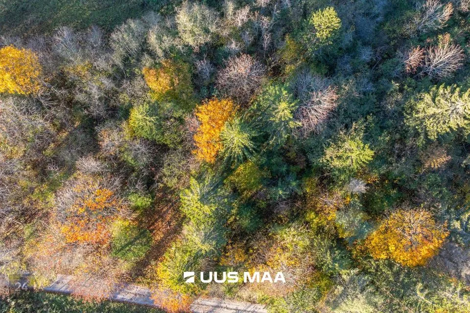 Maatulundusmaa, 24445 m² Maa - Lääne-Harju vald, Lehola küla - foto 4