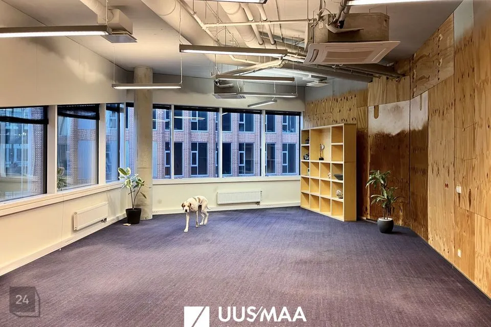 Büroo, 95 m² Äripind  -  Tallinn, Kesklinna linnaosa