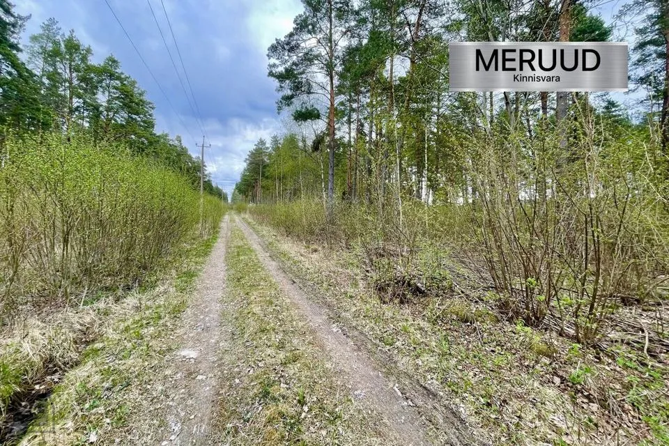 Maatulundusmaa, 29000 m² участок в Saaremaa vald, Parila küla